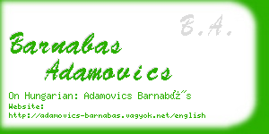 barnabas adamovics business card